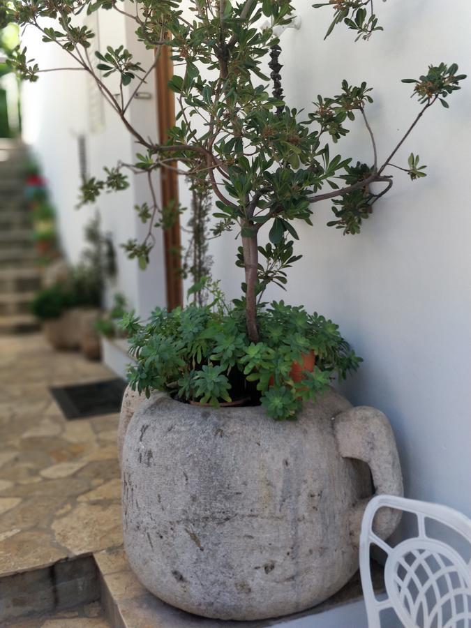 Adriatic Apartments Dubrovnik Exterior photo